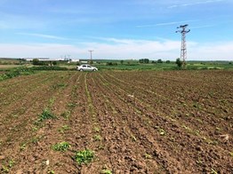 Güler Emlak Lüleburgaz Çiftlikköy,de E-5 Yakın Satılık tarla