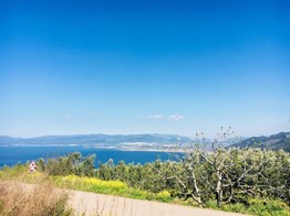 Kurşunlu'da Full deniz Manzaralı Asfalta Cephe Satılık 7.000 m2