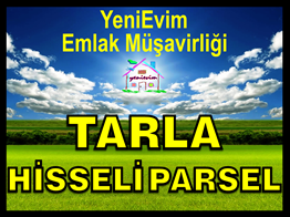 YeniEvim Çukurova Söğütlü'de 6.600 m2 Tarla HİSSELİ PARSEL.