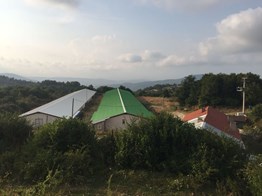 Bolu Kuzfındık'da 10,240 m² Satılık Tavuk Çiftliği