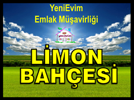 YeniEvim'den Tarsus'ta Satılık 60 Dönüm LİMON BAHÇESİ.
