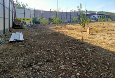 İZMİR MENDERES ÇAMÖNÜ KÖYÜ ANACADDEYE SIFIR 2501m2 ÇİFTLİK