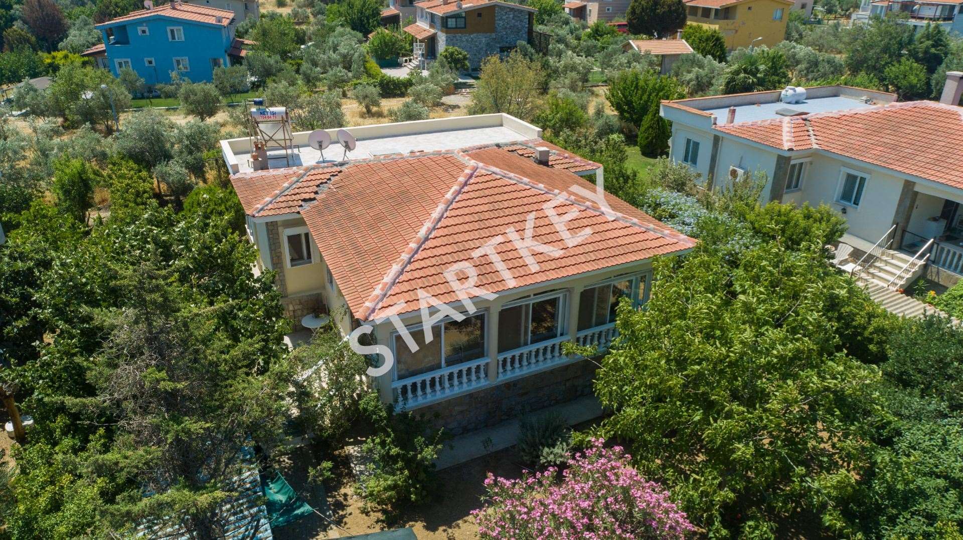 Startkey B. Nejat İnce