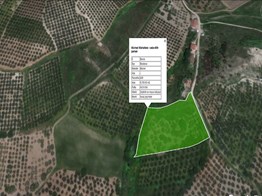 Mudanya Mürselde İmara yakın Yatırımlık Satılık 6.700 m2 Arazi.