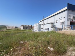 Arnavutköy Ömerli'de 8030 m² satılık sanayi İmarlı Temiz Parsel