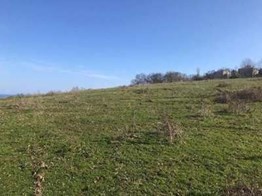 SİNOP GERZE/YAYKIL'DA DENİZE 350 METRE MESAFEDE SATILIK TARLA