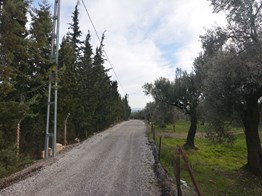 yenifoça kocamehmetlerde 2dönüm hobi bahcesi