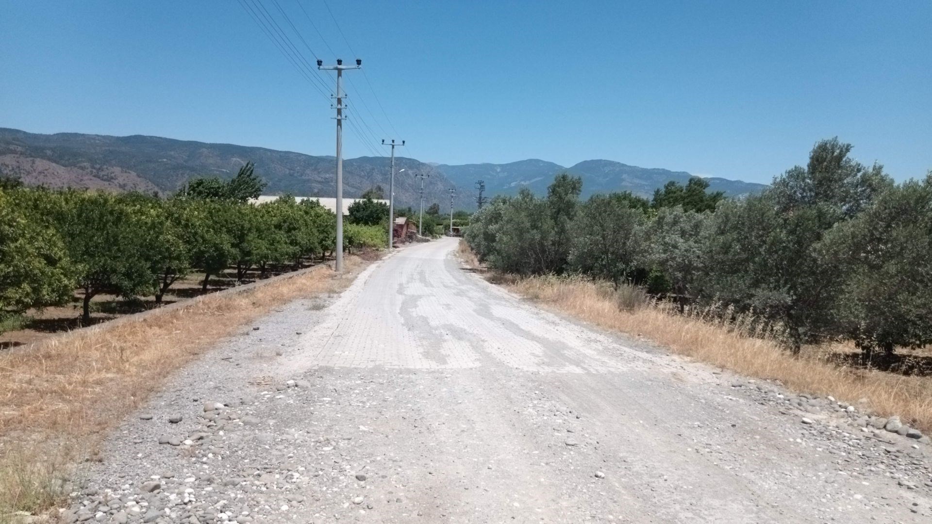 Emlak Bodrum Köyceğiz Hamitköy �de Muhtelif Meyve Ağaçlı 5420m2
