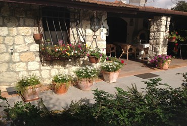 ÇATALCA'DA 8300 M2 ARSA İÇERİSİNDE HAVUZLU SATILIK ÇİFTLİK EVİ