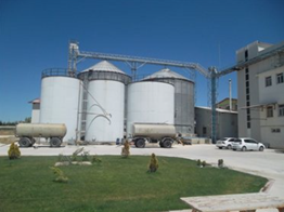 AFYON OSB'DE SATILIK YAĞ ÜRETİM TESİSİ VE ARSASI -217761