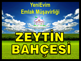 İmamoğlu SAYCA'da 100 Dönüm ZEYTİN ve BADEM BAHÇESİ.