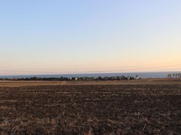 TEKİRDAĞ MARMARAEREĞLİSİ ÇEŞMELİ 1000 M² SATILIK TARLA HİSSESİ
