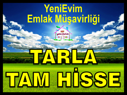 SEYHAN YALMANLI'DA ÇİFTLİK VE HOBİ BAHÇESİNE UYGUN TARLA ACİLLL.
