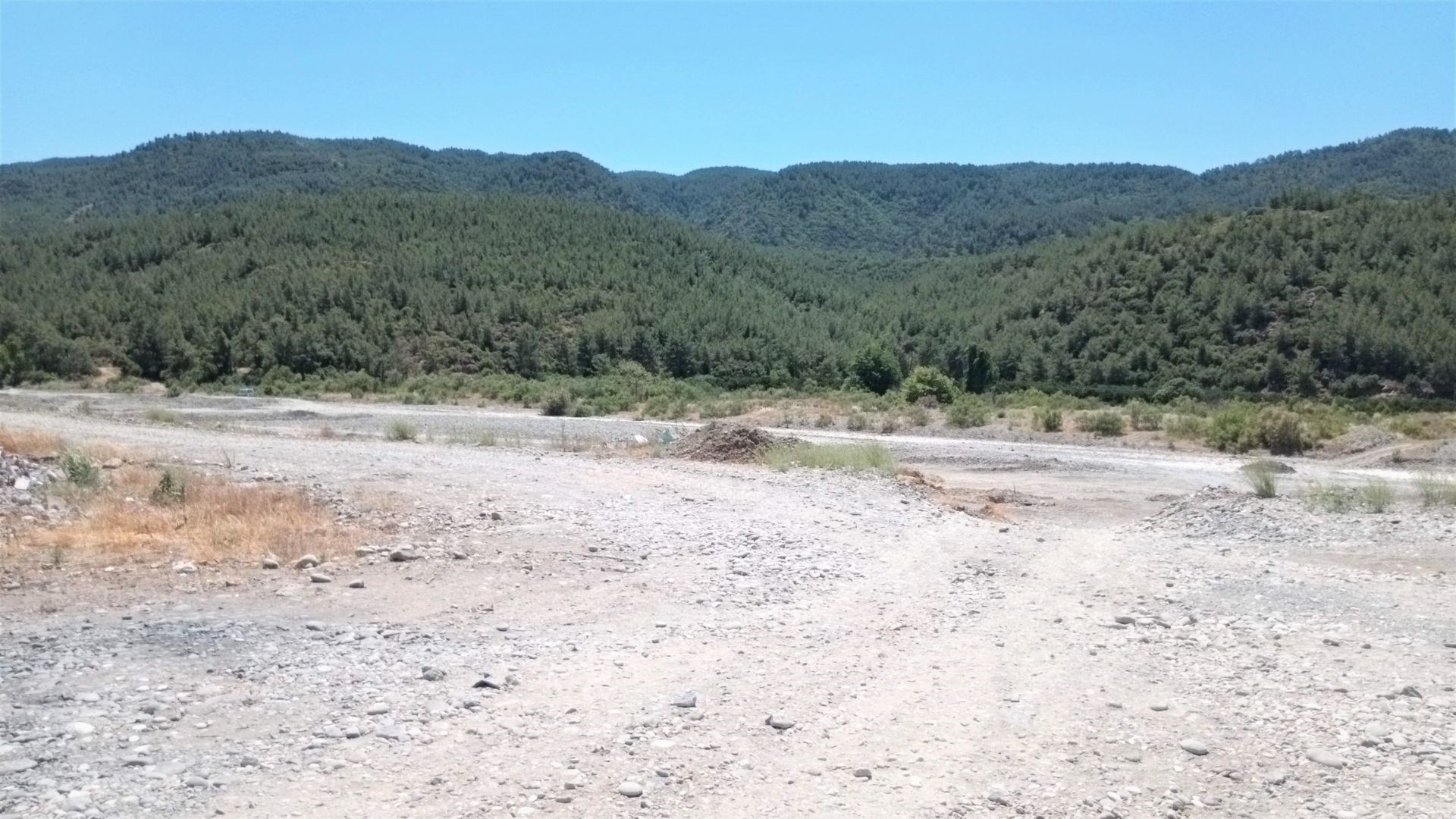 Emlak Bodrum Köyceğiz Hamitköy �de Muhtelif Meyve Ağaçlı 5420m2