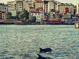 KARAKÖY TRAMVAY YOLUNDA SATILIK BİNA VE ARSALAR ( P-57759 )