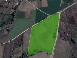 Nilüfer Yaylacıkta Kadastro yoluna cepheli 27.500 m2 Satılık Ara