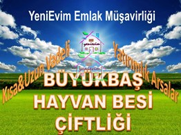 Tarsus Konaklar'da D-400'e 100 m Tarla Fiyatına Satılık ÇİFTLİK