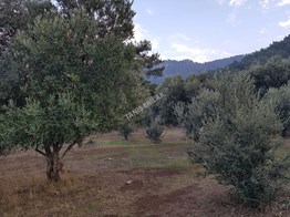 KEMALPAŞA ÇINAR' DA MÜKEMMEL DOĞASI İLE EMSALSİZ BAHÇE