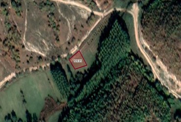 KIRKLARELİ MERKEZ KAPAKLI KÖYÜ ARICILIĞA KÖY EVİNE UYGUN 688 M2