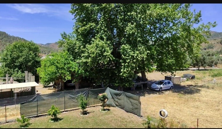 Pi Emlak Muğla ortaca gölbaşı mah satılık müstakil ev 1600 m2 ve