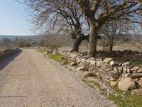 Izmir Urla Barbaros Satilik Imarli Arsa